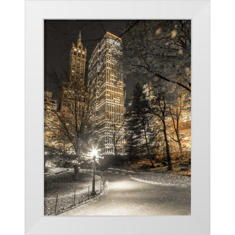 Evening view of Central Park in New York City White Modern Wood Framed Art Print by Frank, Assaf