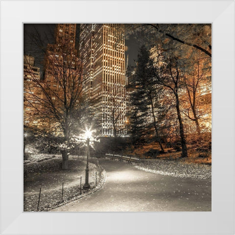 Evening view of Central Park in New York City White Modern Wood Framed Art Print by Frank, Assaf
