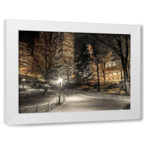 Evening view of Central Park in New York City White Modern Wood Framed Art Print by Frank, Assaf