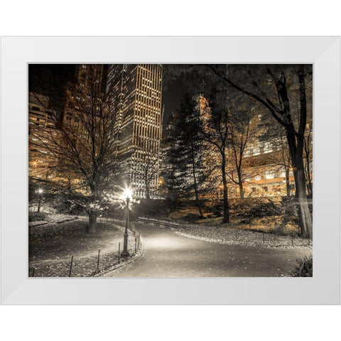 Evening view of Central Park in New York City White Modern Wood Framed Art Print by Frank, Assaf