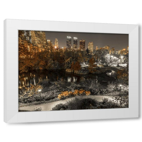 Evening view of Central Park in New York City White Modern Wood Framed Art Print by Frank, Assaf