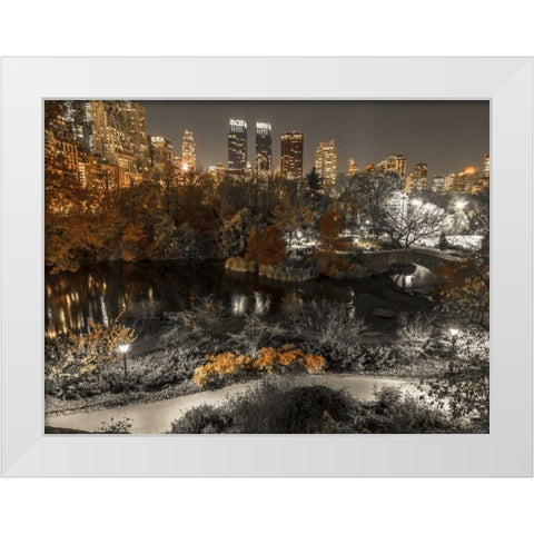 Evening view of Central Park in New York City White Modern Wood Framed Art Print by Frank, Assaf