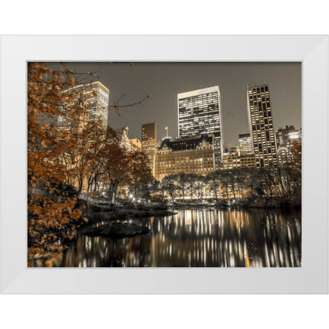 Evening view of Central Park in New York City White Modern Wood Framed Art Print by Frank, Assaf