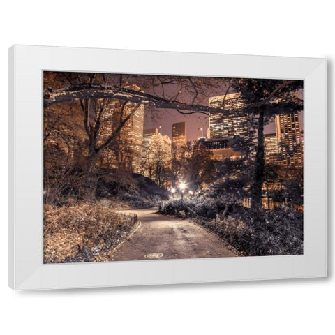 Evening view of Central Park in New York City White Modern Wood Framed Art Print by Frank, Assaf