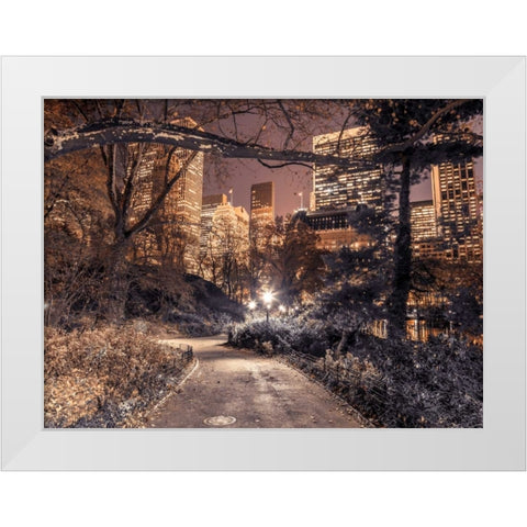 Evening view of Central Park in New York City White Modern Wood Framed Art Print by Frank, Assaf