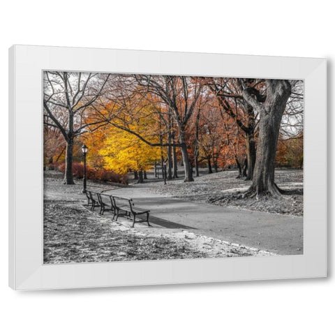 Pathway through Central Park, New York White Modern Wood Framed Art Print by Frank, Assaf