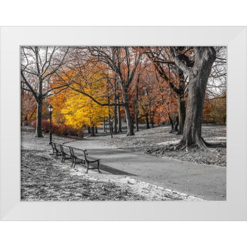Pathway through Central Park, New York White Modern Wood Framed Art Print by Frank, Assaf