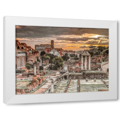 Ruins of the Roman Forum, Rome, Italy White Modern Wood Framed Art Print by Frank, Assaf