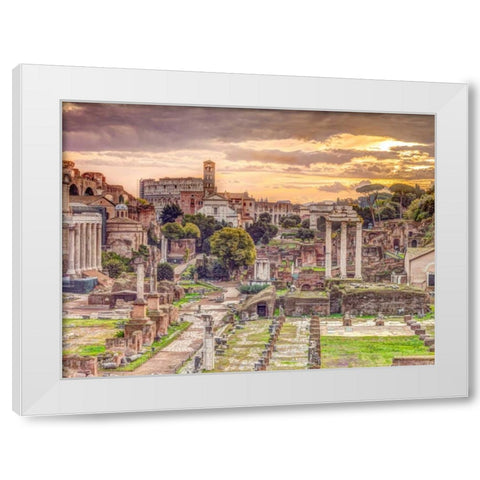 Ruins of the Roman Forum, Rome, Italy White Modern Wood Framed Art Print by Frank, Assaf