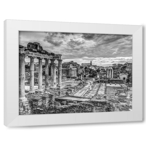 Ruins of the Roman Forum, Rome, Italy White Modern Wood Framed Art Print by Frank, Assaf