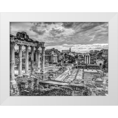 Ruins of the Roman Forum, Rome, Italy White Modern Wood Framed Art Print by Frank, Assaf