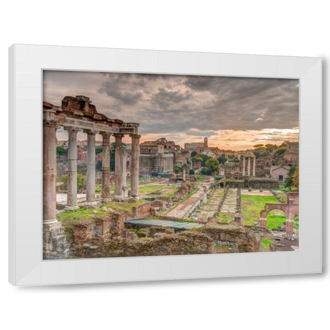 Ruins of the Roman Forum, Rome, Italy White Modern Wood Framed Art Print by Frank, Assaf