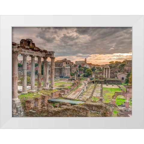 Ruins of the Roman Forum, Rome, Italy White Modern Wood Framed Art Print by Frank, Assaf