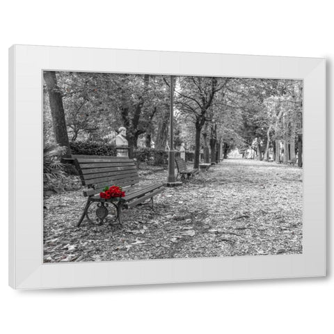 Bunch of roses on a park bench in Rome, Italy White Modern Wood Framed Art Print by Frank, Assaf