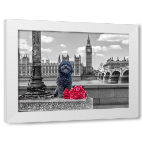 Dog by a lampost with bunch of Roses, London, UK White Modern Wood Framed Art Print by Frank, Assaf