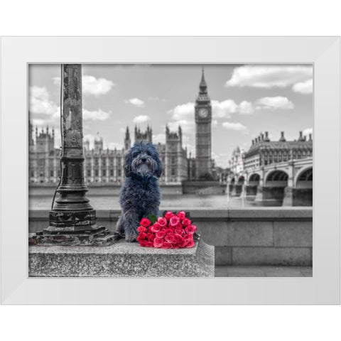 Dog by a lampost with bunch of Roses, London, UK White Modern Wood Framed Art Print by Frank, Assaf