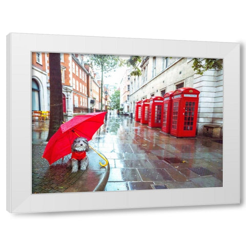 Dog with umbrella on London city street White Modern Wood Framed Art Print by Frank, Assaf