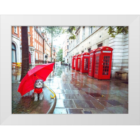 Dog with umbrella on London city street White Modern Wood Framed Art Print by Frank, Assaf