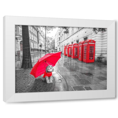 Dog with umbrella in London White Modern Wood Framed Art Print by Frank, Assaf
