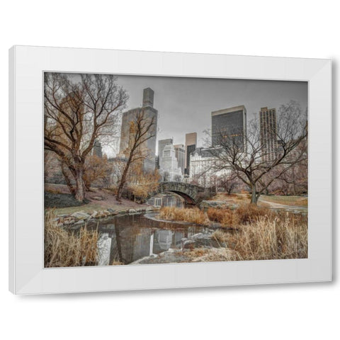 Central park and Manhattan skyline, New York White Modern Wood Framed Art Print by Frank, Assaf