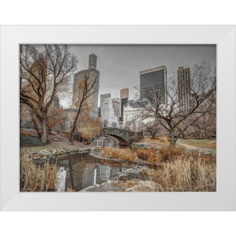 Central park and Manhattan skyline, New York White Modern Wood Framed Art Print by Frank, Assaf