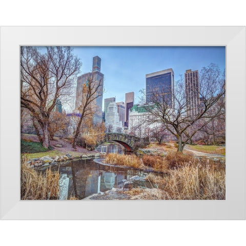 Central park with Manhattan skyline-New York White Modern Wood Framed Art Print by Frank, Assaf