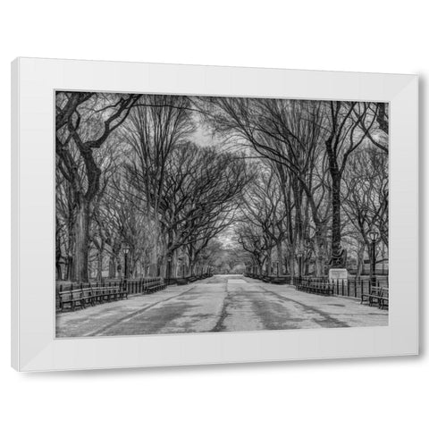 Pathway through Central park, New York White Modern Wood Framed Art Print by Frank, Assaf