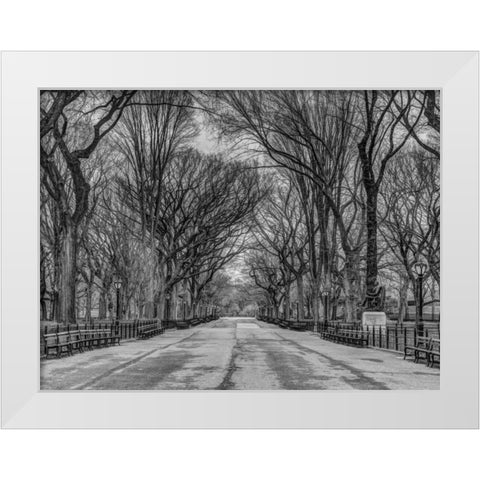 Pathway through Central park, New York White Modern Wood Framed Art Print by Frank, Assaf