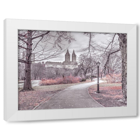 Pathway through Central park-New York White Modern Wood Framed Art Print by Frank, Assaf
