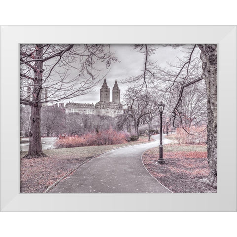 Pathway through Central park-New York White Modern Wood Framed Art Print by Frank, Assaf