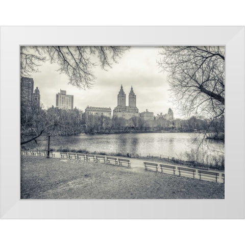 Central park with Manhattan skyline, New York White Modern Wood Framed Art Print by Frank, Assaf
