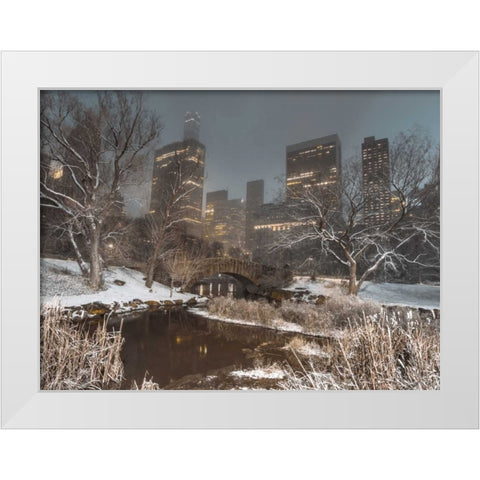 Central park with Manhattan skyline, New York White Modern Wood Framed Art Print by Frank, Assaf