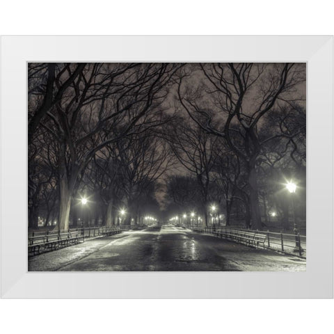 Central park with Manhattan skyline, New York White Modern Wood Framed Art Print by Frank, Assaf