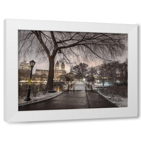 Evening view of Central park-New York White Modern Wood Framed Art Print by Frank, Assaf