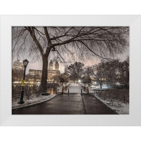 Evening view of Central park-New York White Modern Wood Framed Art Print by Frank, Assaf