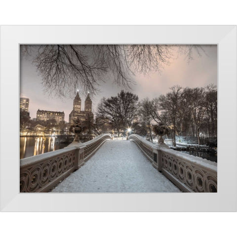 Central park with Manhattan skyline, New York White Modern Wood Framed Art Print by Frank, Assaf
