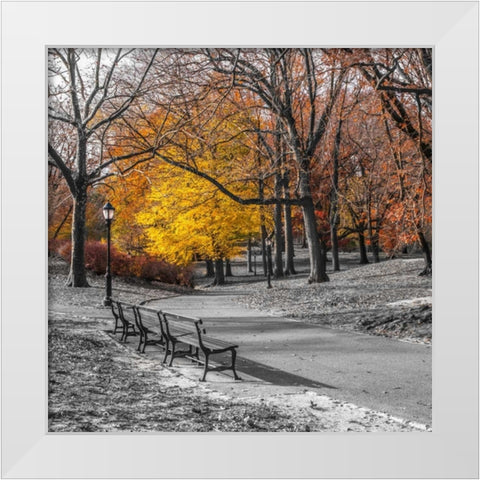 AF20131120 New York 1775C03 White Modern Wood Framed Art Print by Frank, Assaf