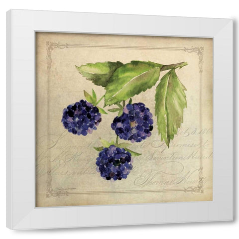 Blackberry Collage White Modern Wood Framed Art Print by Marrott, Stephanie