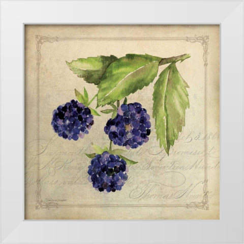 Blackberry Collage White Modern Wood Framed Art Print by Marrott, Stephanie