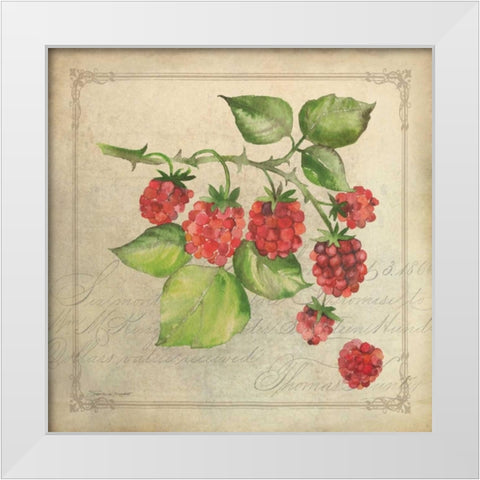 Rasberry Collage White Modern Wood Framed Art Print by Marrott, Stephanie