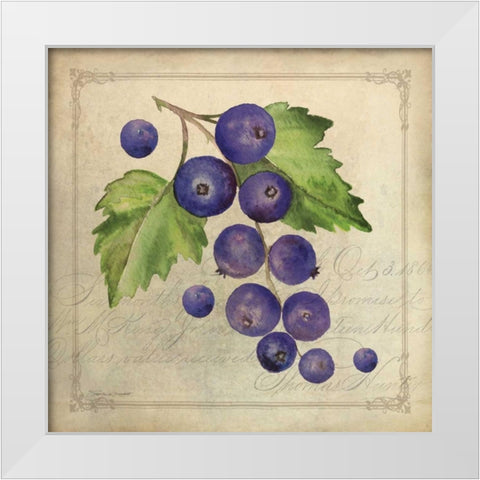 Blueberry Collage White Modern Wood Framed Art Print by Marrott, Stephanie