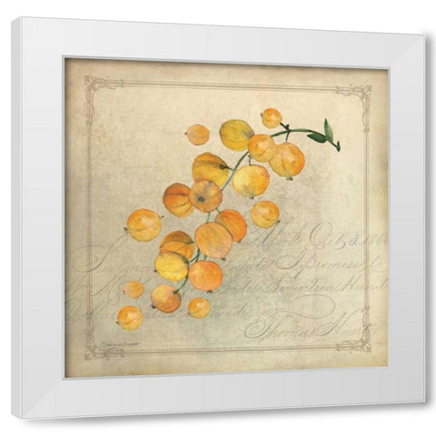 Yellow Berries White Modern Wood Framed Art Print by Marrott, Stephanie