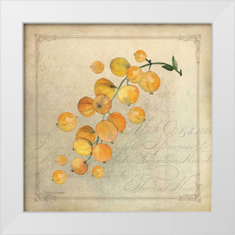 Yellow Berries White Modern Wood Framed Art Print by Marrott, Stephanie