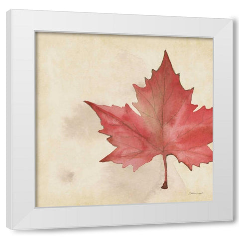 Maple In Fall White Modern Wood Framed Art Print by Marrott, Stephanie