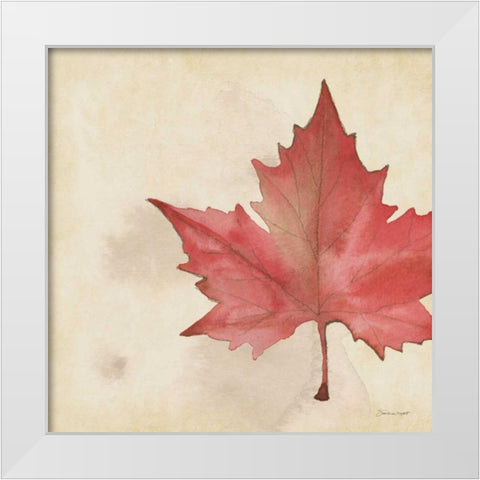 Maple In Fall White Modern Wood Framed Art Print by Marrott, Stephanie