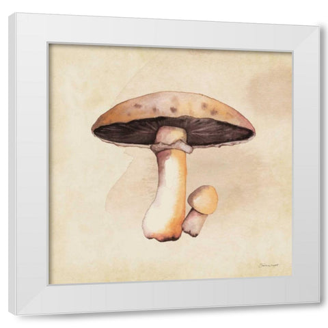 Mushrooms In Fall White Modern Wood Framed Art Print by Marrott, Stephanie