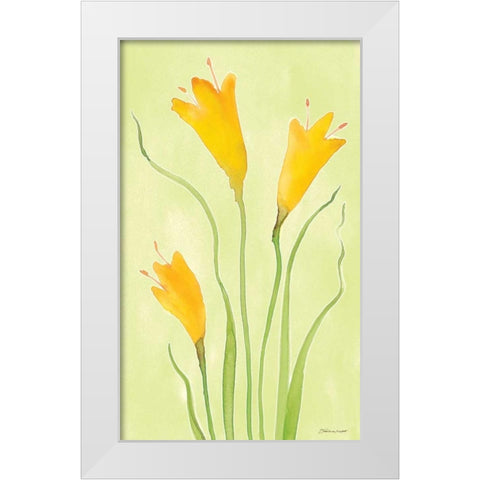 Buttercups White Modern Wood Framed Art Print by Marrott, Stephanie