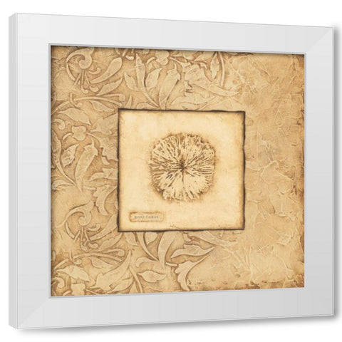 Rose Coral White Modern Wood Framed Art Print by Marrott, Stephanie