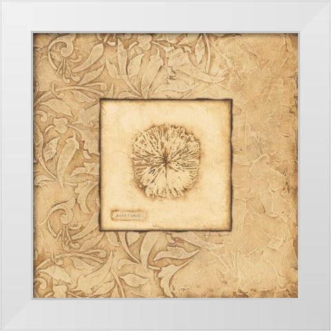 Rose Coral White Modern Wood Framed Art Print by Marrott, Stephanie
