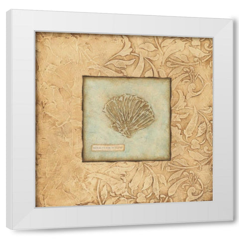 Scallop White Modern Wood Framed Art Print by Marrott, Stephanie